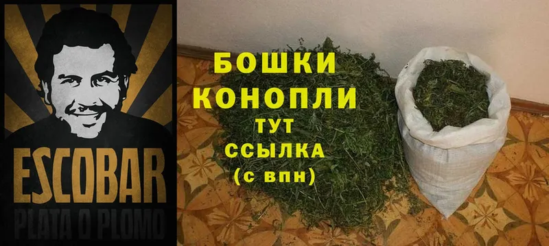 Конопля OG Kush  как найти наркотики  Коломна 